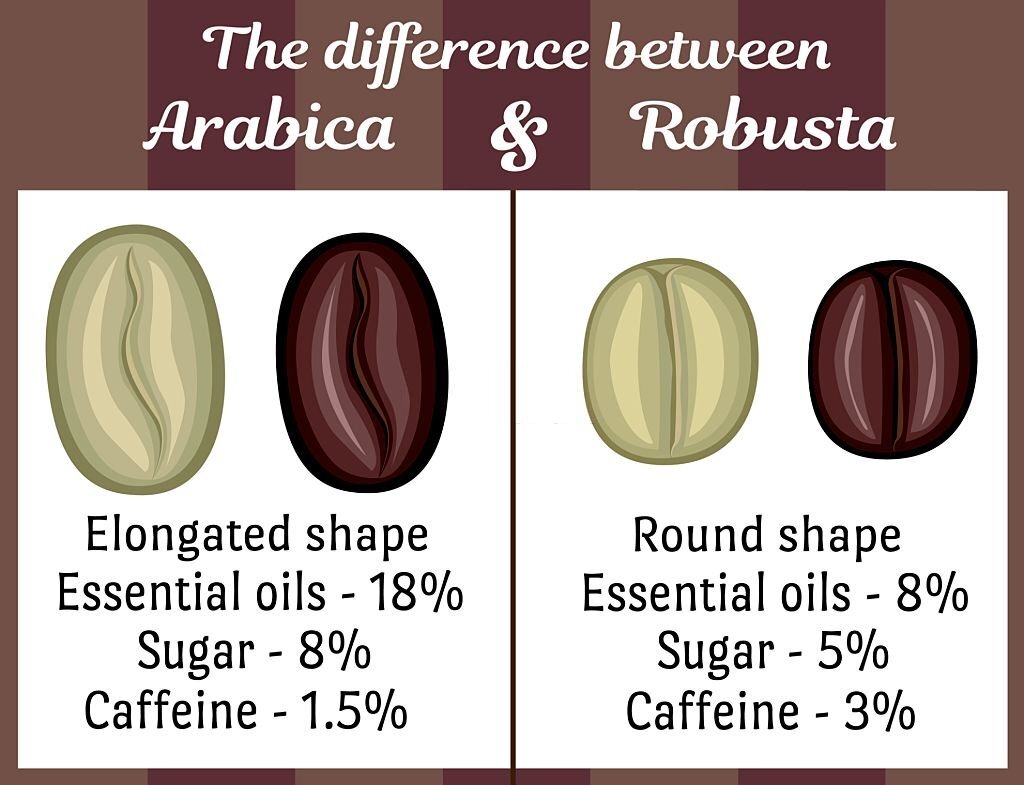 Arabica vs. Robusta Beans and Their Caffeine Differences