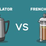 Percolator vs French Press Which One’s the Best